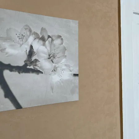 Gæstehus Cconforthotels Dolci Notti 3*